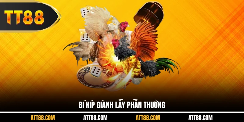 Bí kíp giành lấy phần thưởng